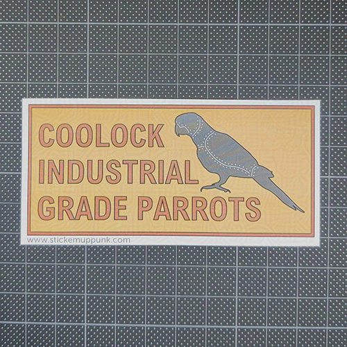 parrot
